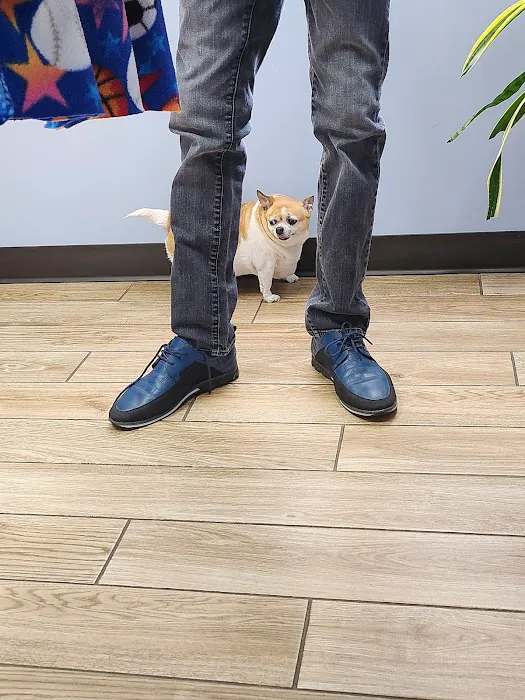 Belton Veterinary Center Picture 4