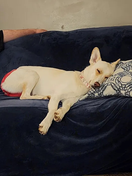 Belton Veterinary Center Picture 2