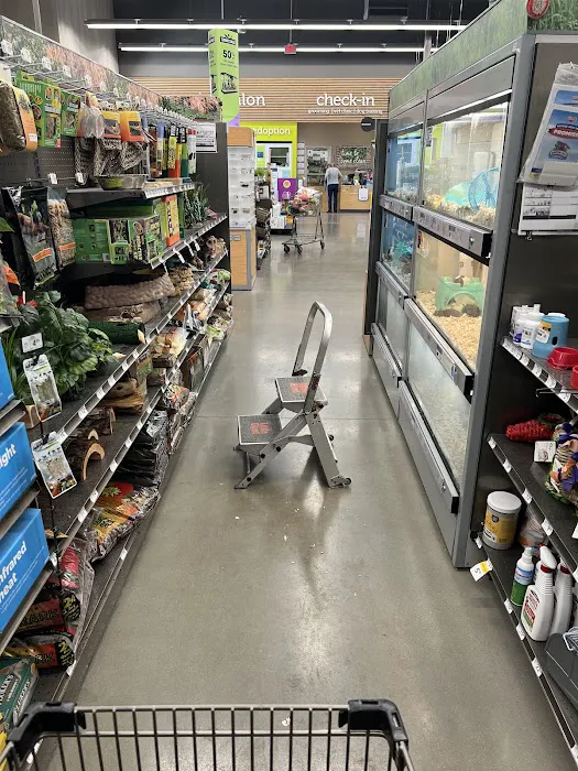 Vetco Vaccination Clinic Picture 2