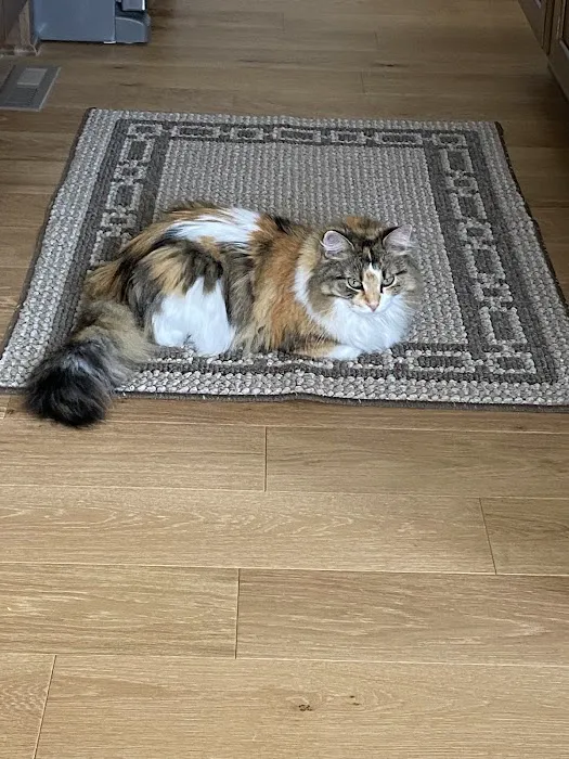 Belton Animal Clinic & Exotic Care Center Picture 1