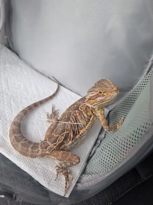 Belton Animal Clinic & Exotic Care Center Picture 5