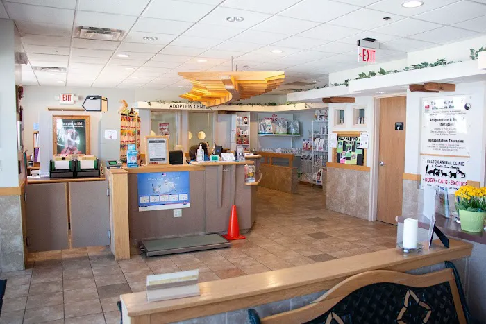 Belton Animal Clinic & Exotic Care Center Picture 7