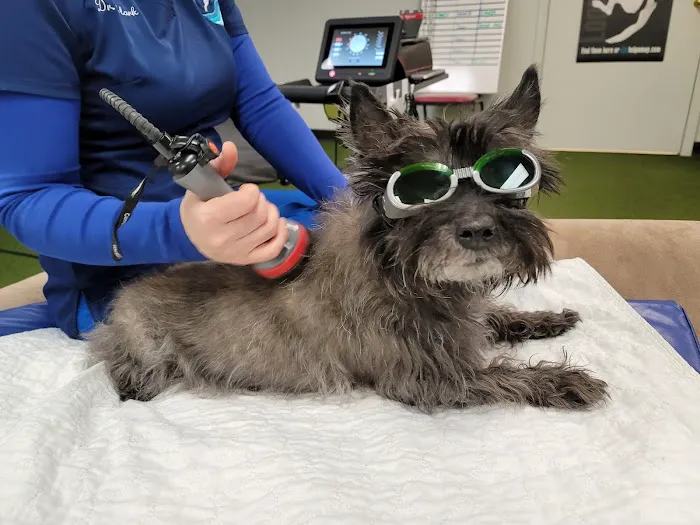 Animal Rehabilitation Center Picture 3