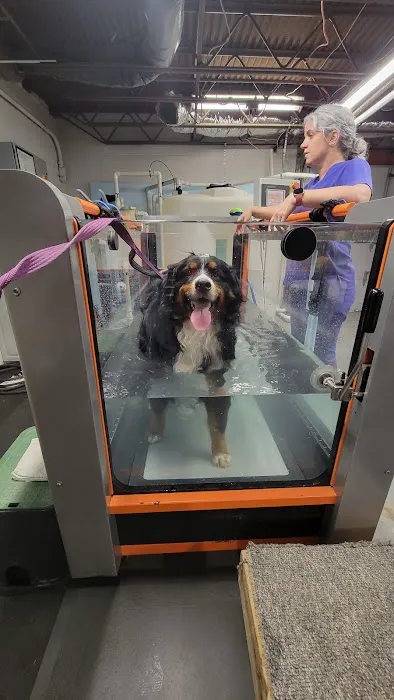 Animal Rehabilitation Center Picture 4