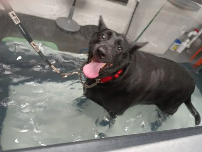 Animal Rehabilitation Center Picture 1