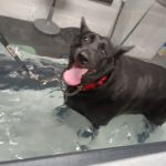 Animal Rehabilitation Center