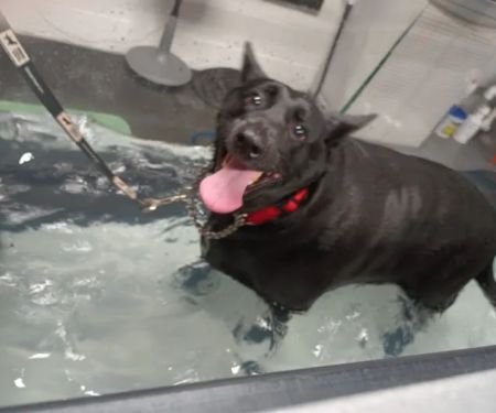 Animal Rehabilitation Center