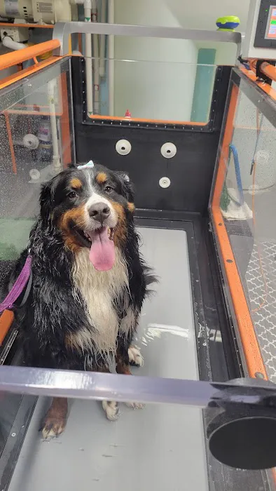 Animal Rehabilitation Center Picture 5