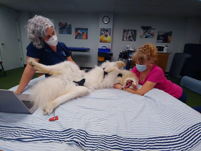 Animal Rehabilitation Center Picture 7