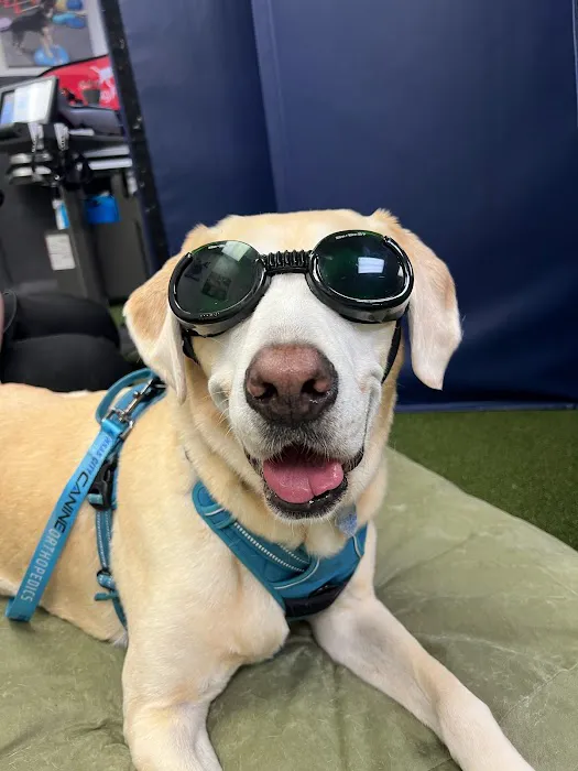 Animal Rehabilitation Center Picture 6