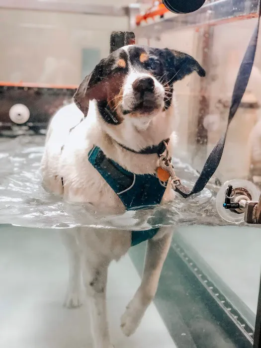 Animal Rehabilitation Center Picture 10