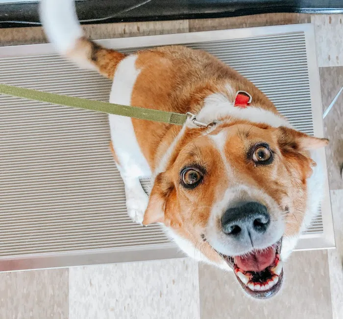 Animal Rehabilitation Center Picture 9