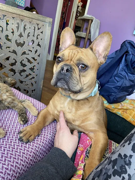 Grandview Animal Hospital Picture 3