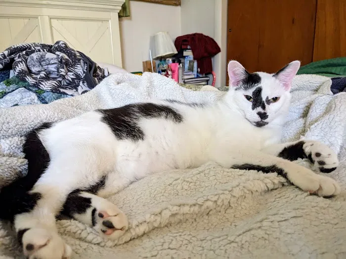 Grandview Animal Hospital Picture 6