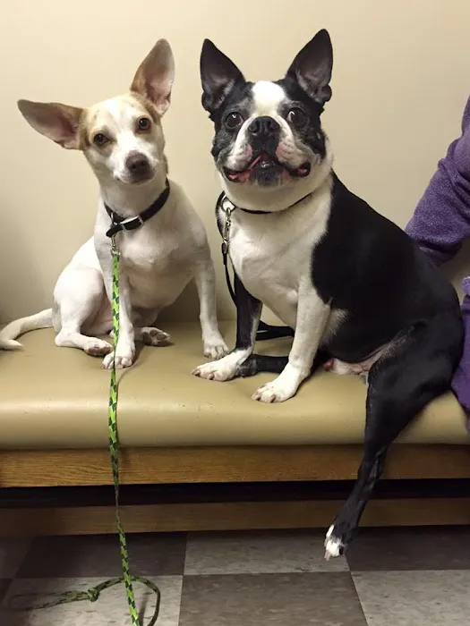 Grandview Animal Hospital Picture 10