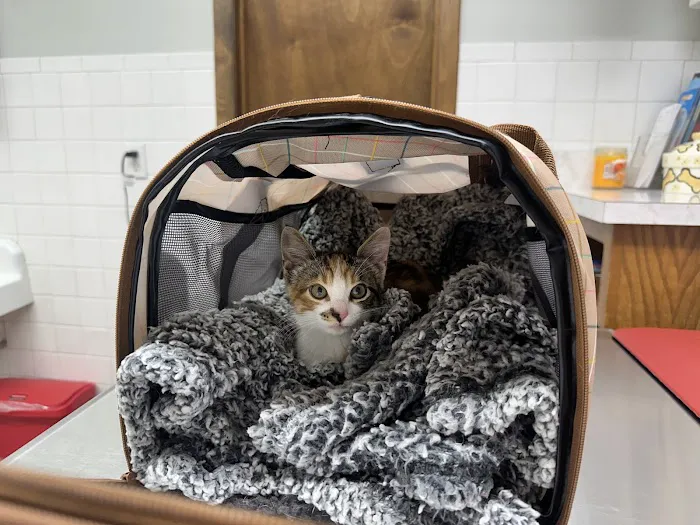 Grandview Animal Hospital Picture 8