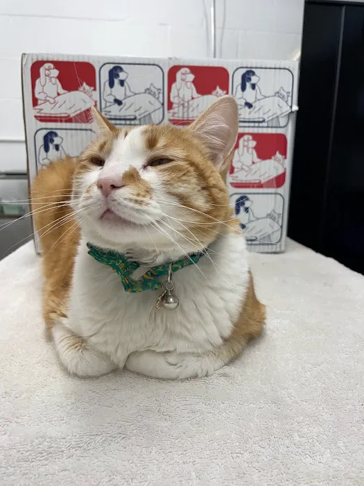 Grandview Animal Hospital Picture 9