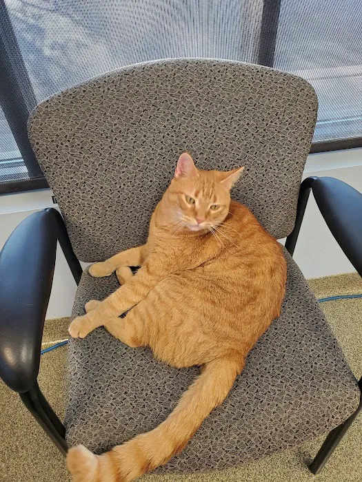 Red Bridge Animal Clinic Picture 2