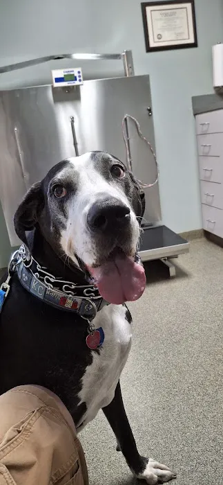 Red Bridge Animal Clinic Picture 3