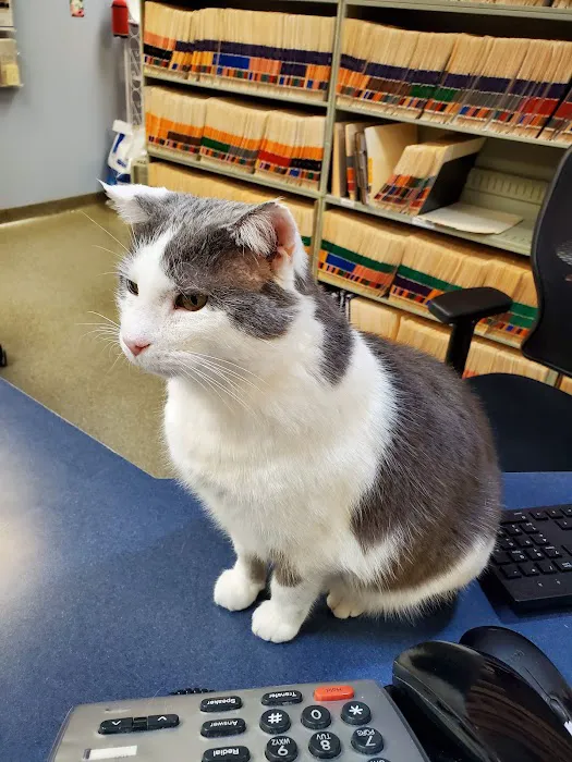 Red Bridge Animal Clinic Picture 1