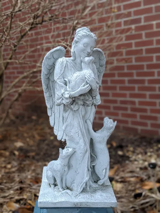 Red Bridge Animal Clinic Picture 6