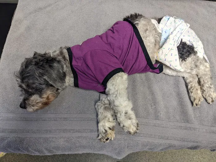 Red Bridge Animal Clinic Picture 8