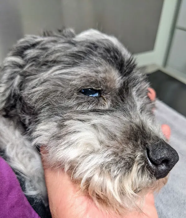 Red Bridge Animal Clinic Picture 9