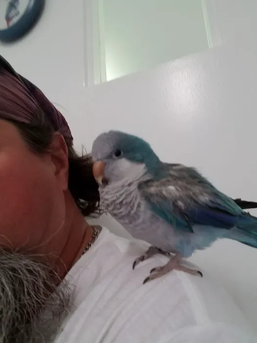 Burge Bird Services & Rescue Picture 6