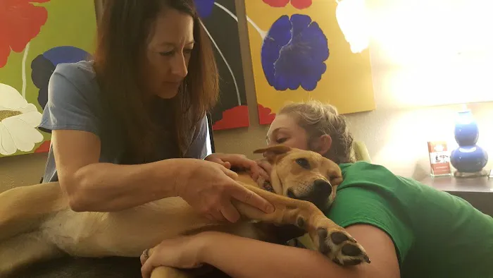 Chiro 4 Paws Picture 5