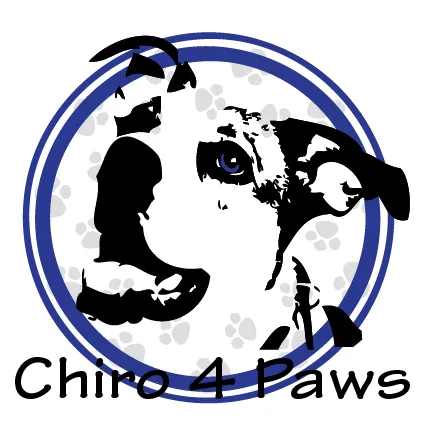 Chiro 4 Paws Picture 3