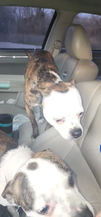 Eastburn Veterinary Services l.l.c. Picture 2