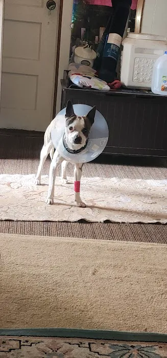 Eastburn Veterinary Services l.l.c. Picture 5