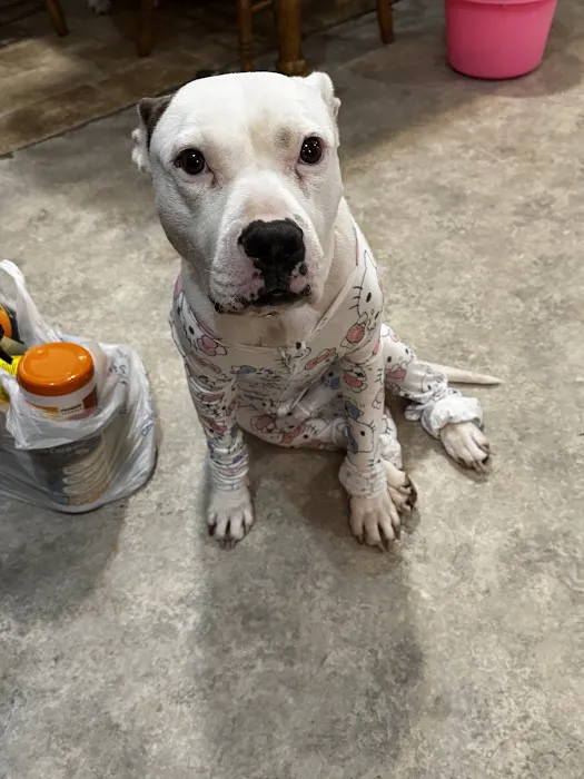 Eastburn Veterinary Services l.l.c. Picture 4