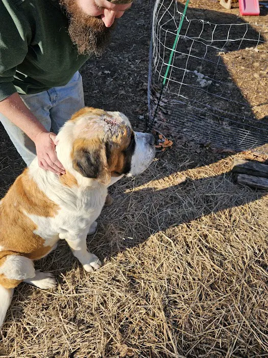 Eastburn Veterinary Services l.l.c. Picture 8