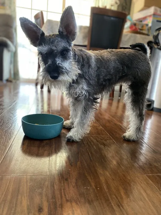 Eastburn Veterinary Services l.l.c. Picture 7