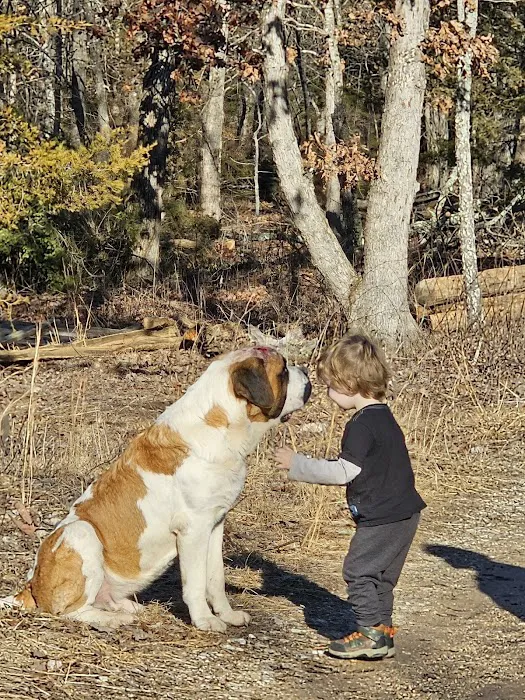 Eastburn Veterinary Services l.l.c. Picture 10