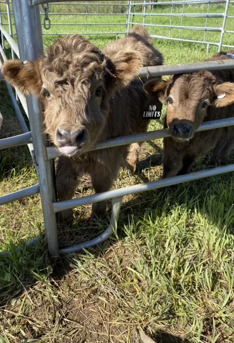 Concordia Veterinary Clinic Picture 4