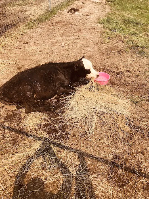 Concordia Veterinary Clinic Picture 5