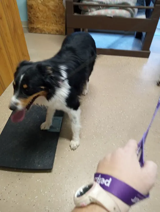 Concordia Veterinary Clinic Picture 3