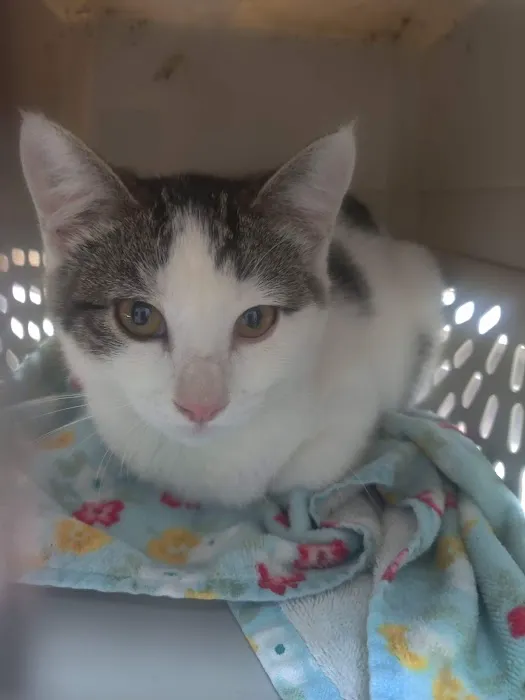 Concordia Veterinary Clinic Picture 2