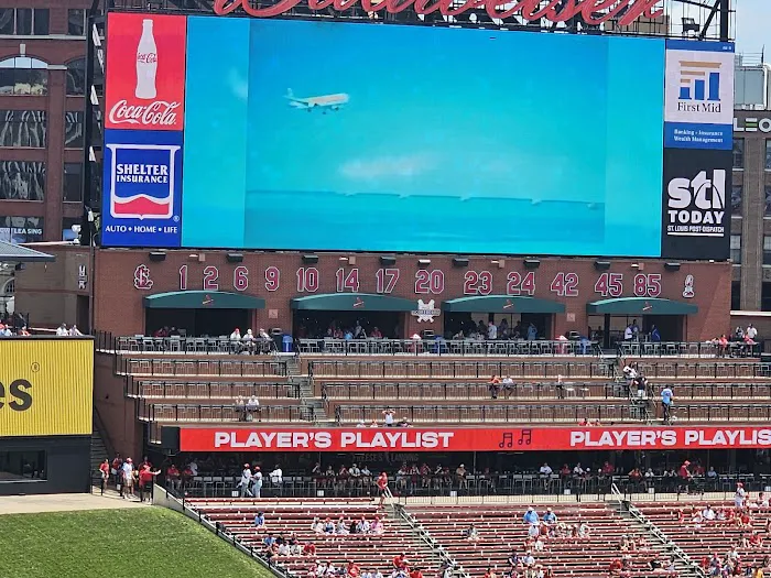 Saline County Veterinary Services, Inc. Picture 2