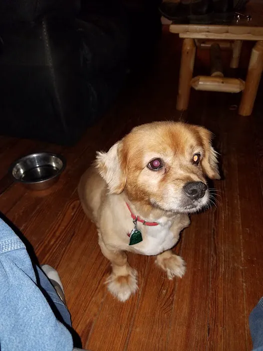 Saline County Veterinary Services, Inc. Picture 6