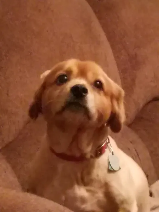 Saline County Veterinary Services, Inc. Picture 7