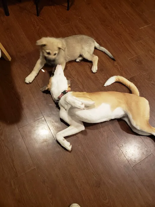 Saline County Veterinary Services, Inc. Picture 10