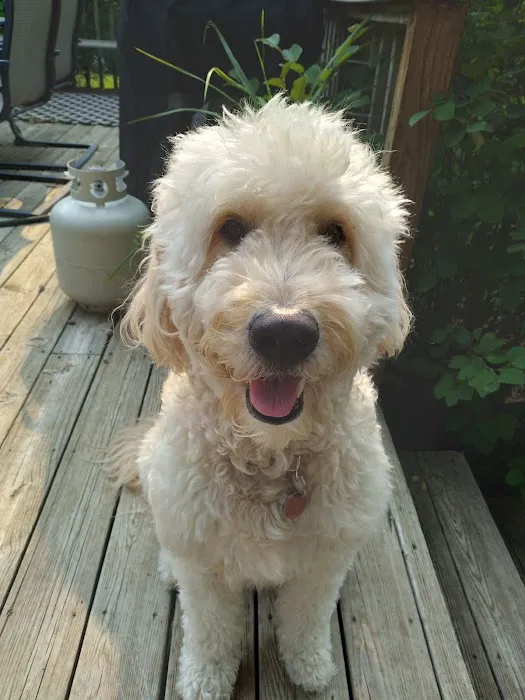 Marshall Veterinary Clinic Picture 2