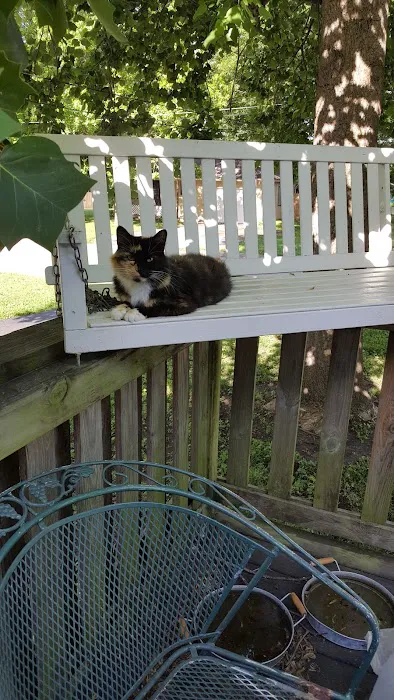 Marshall Veterinary Clinic Picture 3