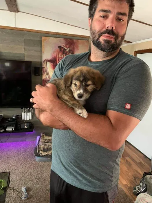 Marshall Veterinary Clinic Picture 5