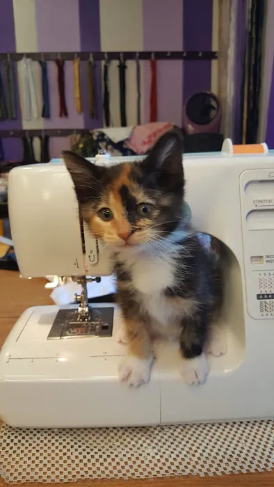 Marshall Veterinary Clinic Picture 6