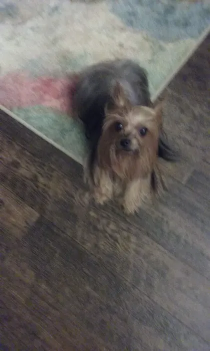 Marshall Veterinary Clinic Picture 4