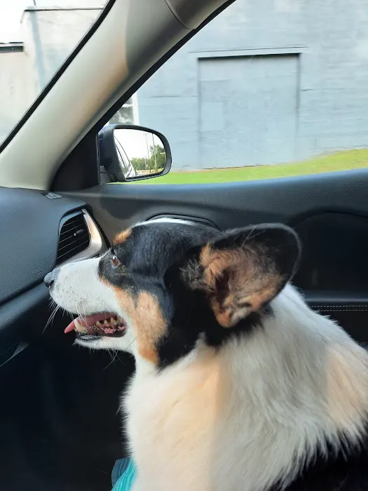 Blumhorst Thomas DVM Picture 3